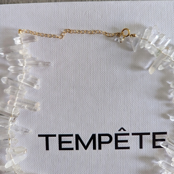 TEMPÊTE Raw Crystal Choker Necklace - Picture 8 of 8